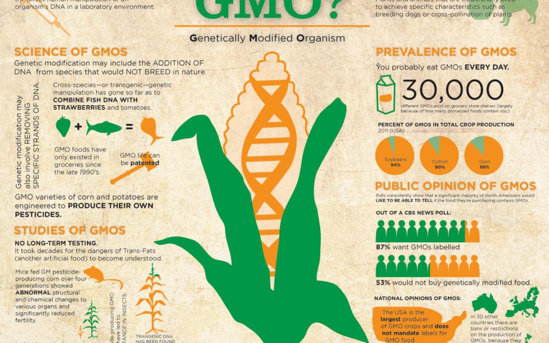 GMOs for Dummies