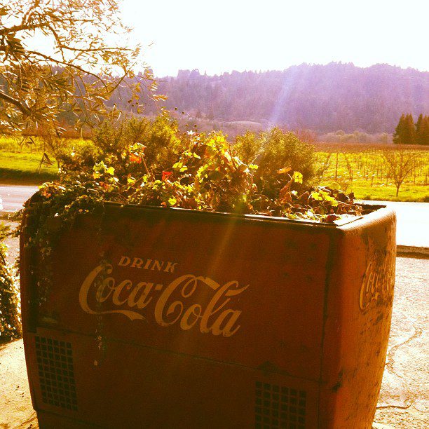 Can Coca Cola grow your garden?