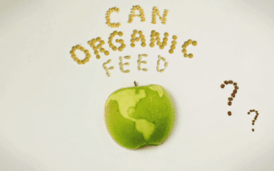 6 Reasons Organics Can Feed the World