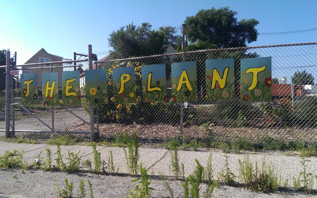 Urban Agriculture Forces Creativity