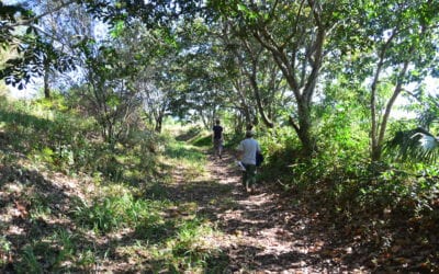 Permaculture Design Course Day 9 : Aquaculture