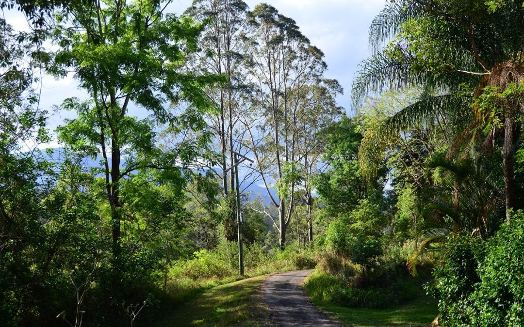 Clear Springs Sanctuary