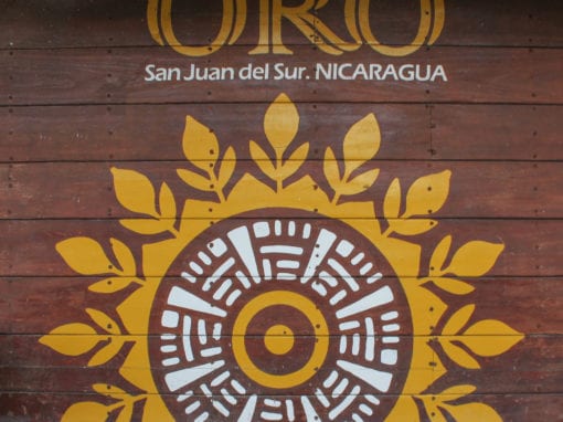 Casa Oro Eco Hostel