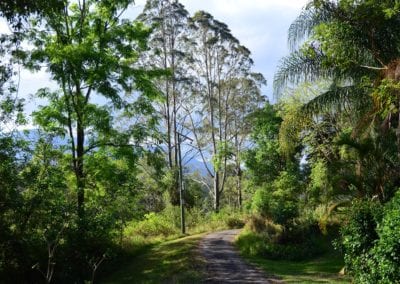 Clear Springs Sanctuary
